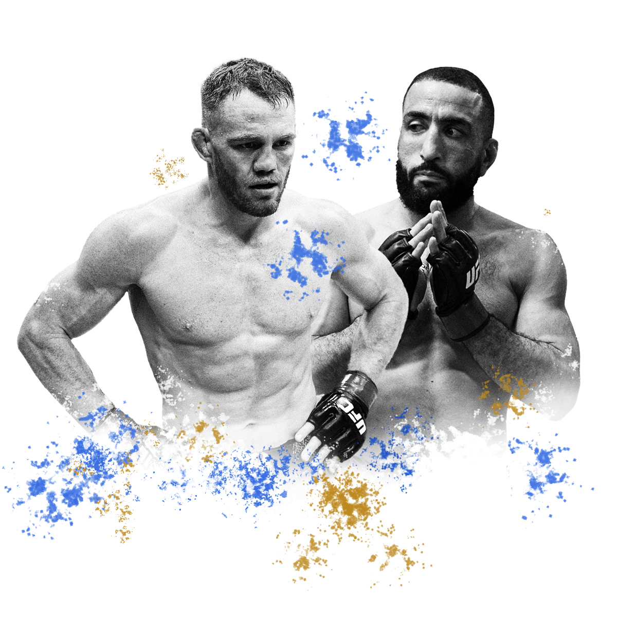UFC315