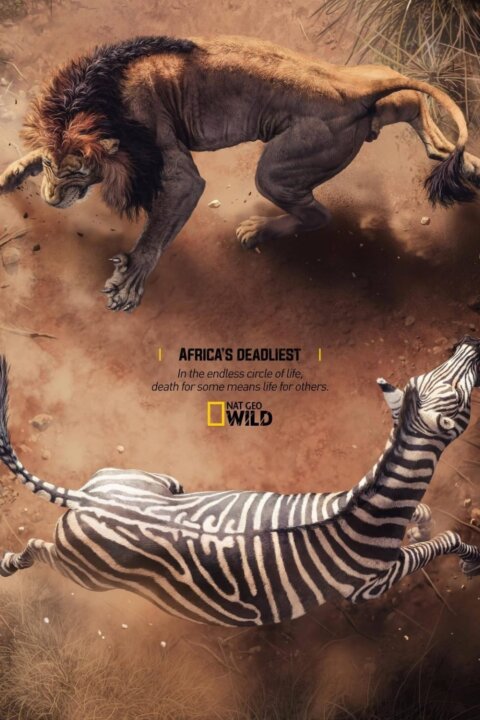 Největší zabijáci Afriky