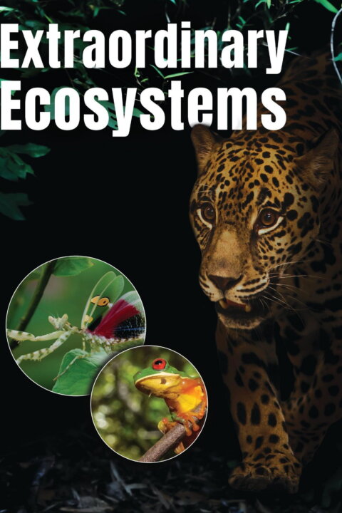 Neobyčejné ekosystémy