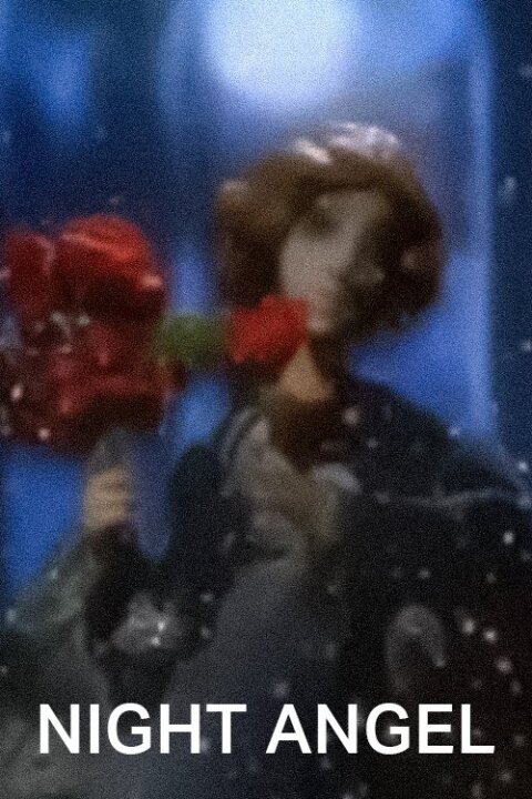 Romance z temnot
