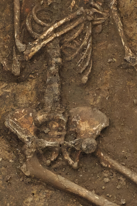 Slovenskí archeológovia