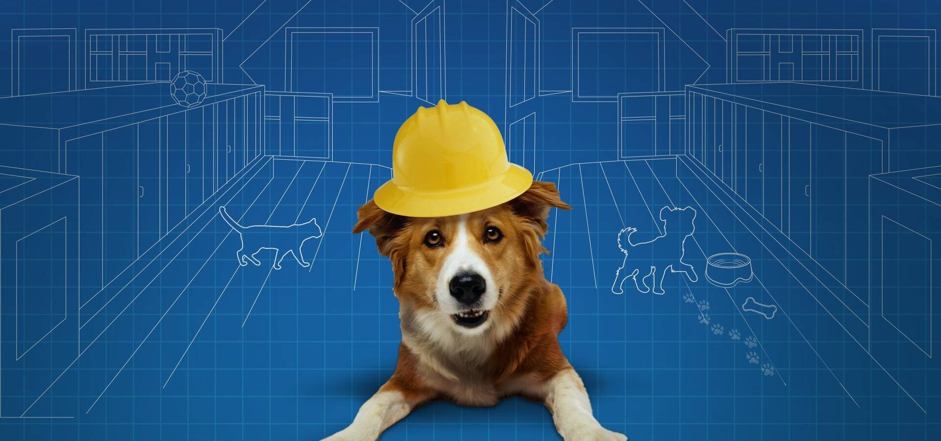 Soutěž o renovaci zvířecích útulků