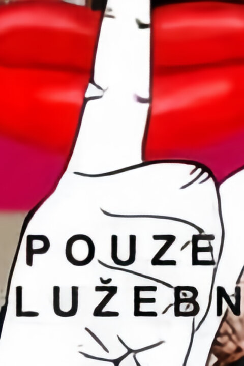 Tajemství pouze služební