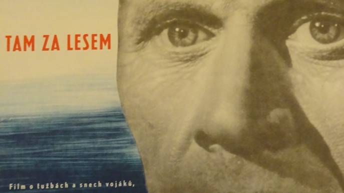 Tam za lesem