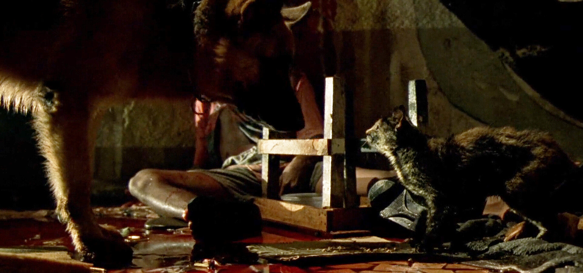 Vzpoura ve věznici Carandiru