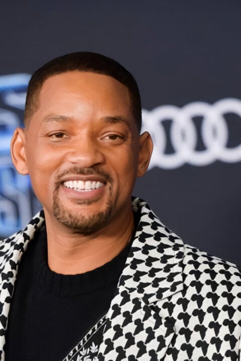 Will Smith – od prince ke králi