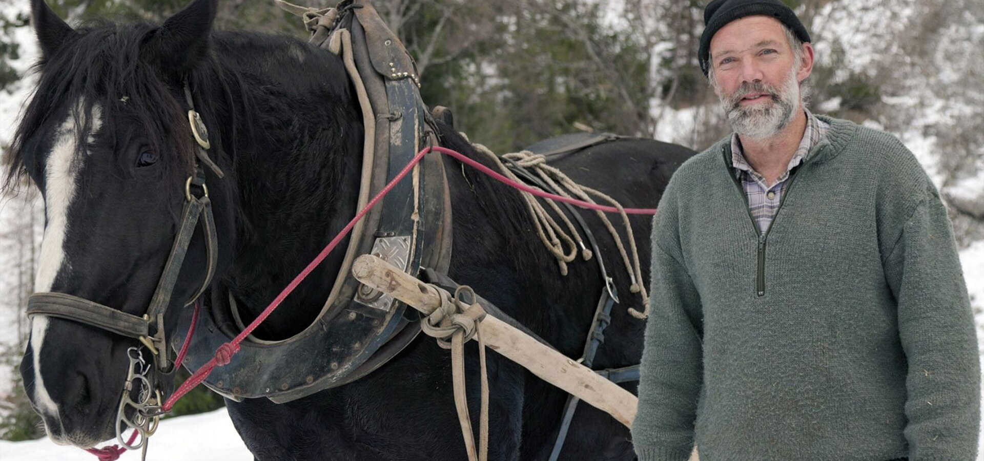 Zkrocení zlé zvěře