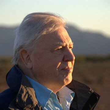 Attenborough - Život v divočině