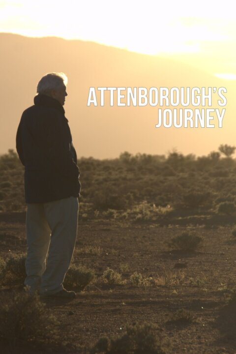 Attenborough – Život v divočině