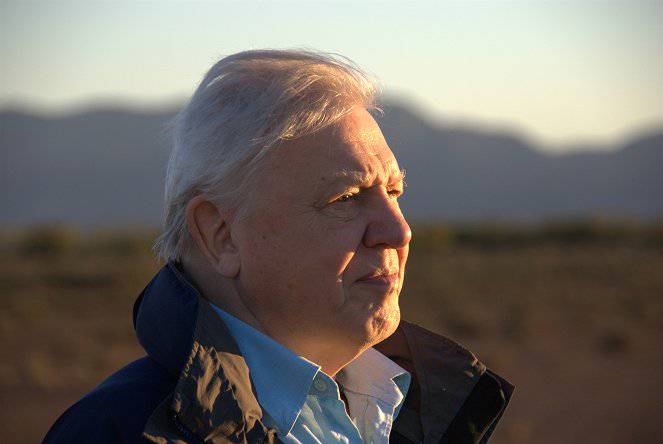 Attenborough - Život v divočině