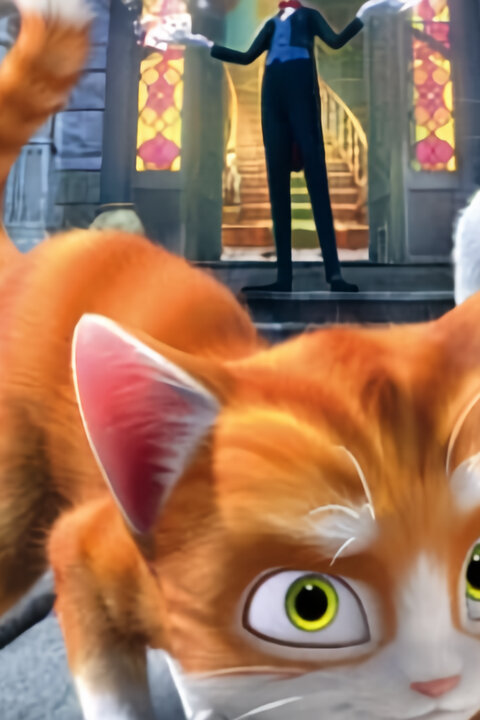 Dům kouzel