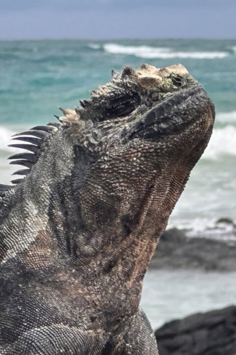 Galapágy: Na konci světa