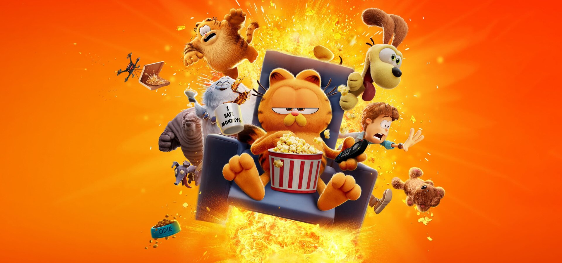 Garfield ve filmu