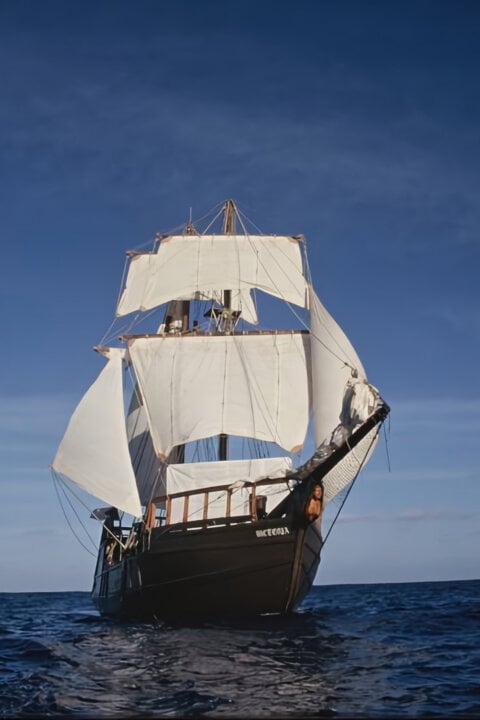Idioti na plavbě kolem světa