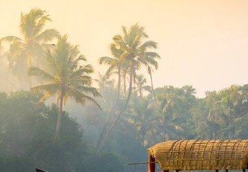 Kérala, zahrada Indie