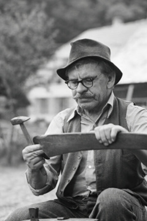 Kosenie jastrabej lúky
