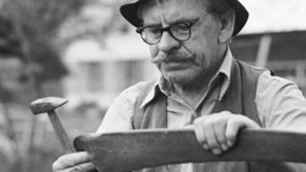 Kosenie jastrabej lúky