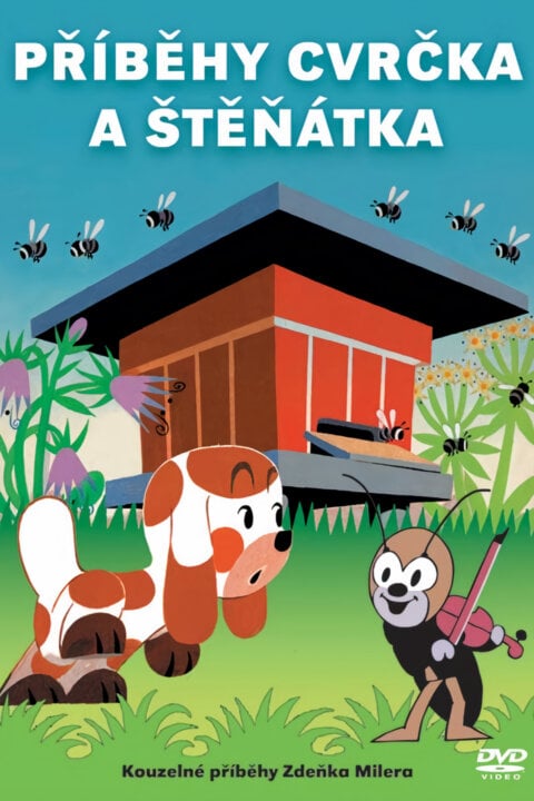 O cvrčkovi