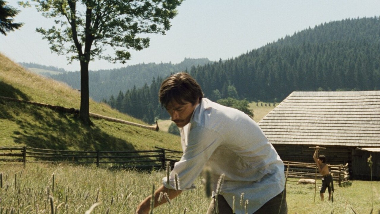 Stíny horkého léta