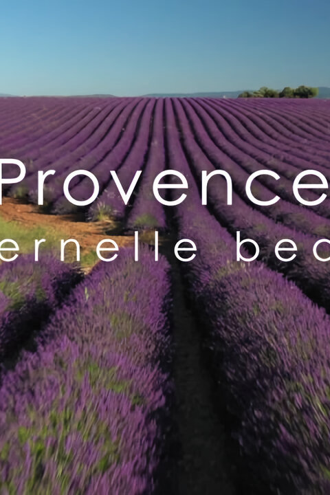 Věčná krása Provence