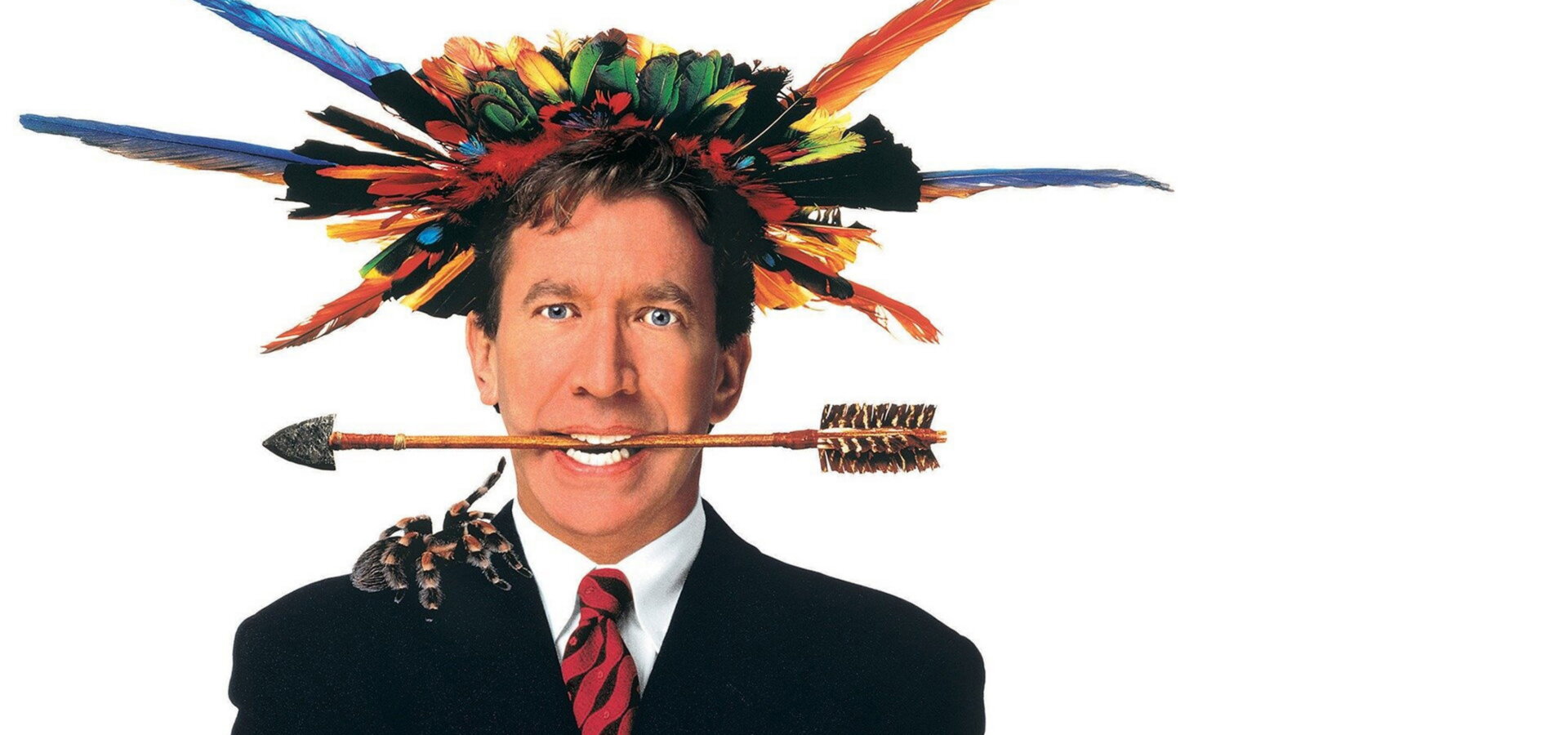 Z džungle do džungle