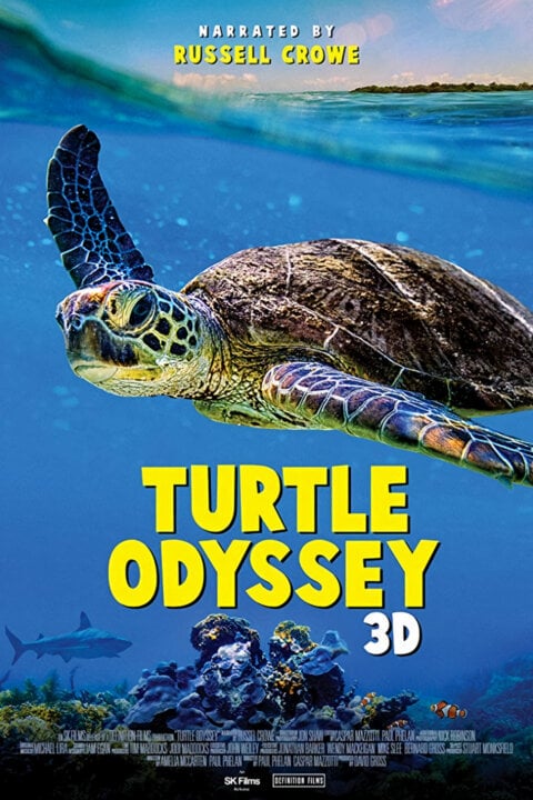 Želví odysea