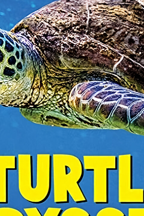 Želví odysea