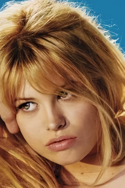 Bardot