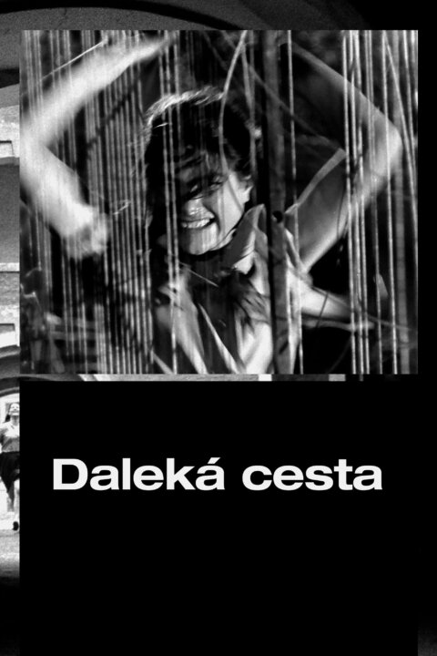 Daleká cesta