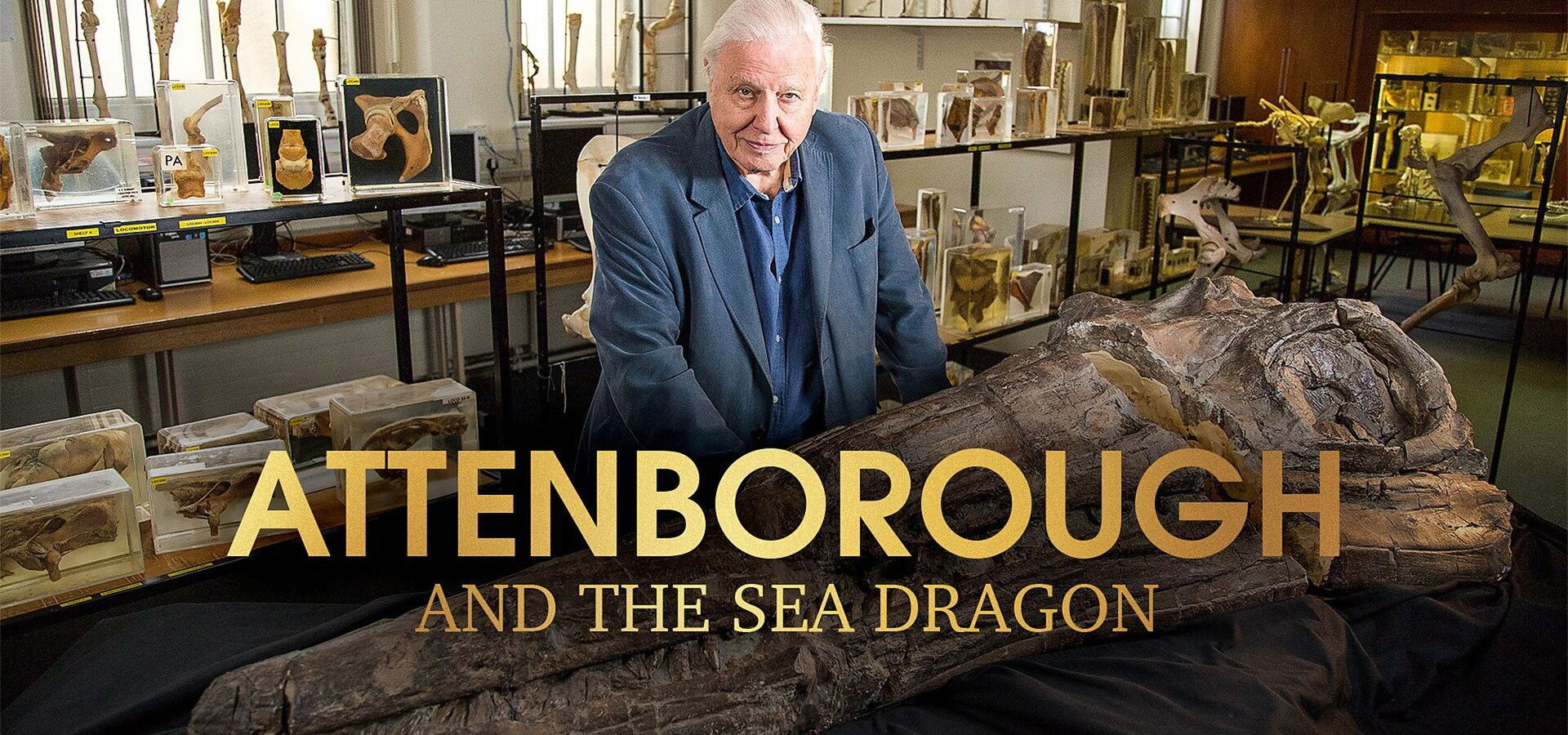 David Attenborough a mořský drak