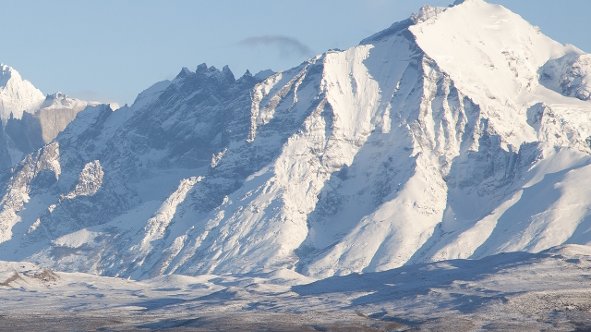 Divoké Chile