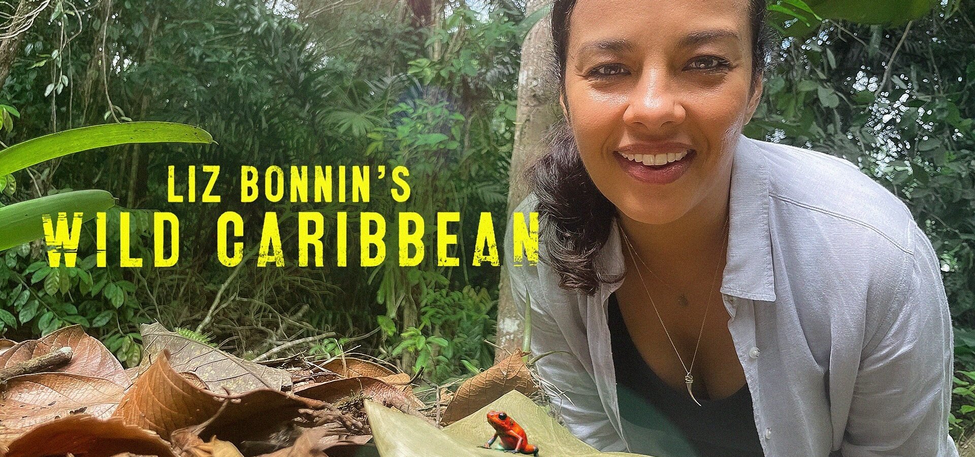 Divokým Karibikem s Liz Bonninovou