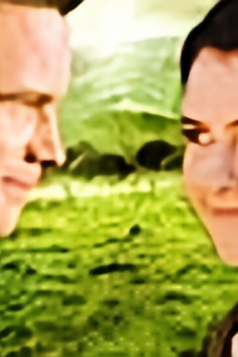 Jen snít nestačí