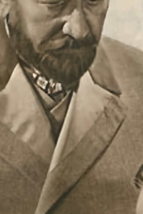 Jestřáb kontra Hrdlička