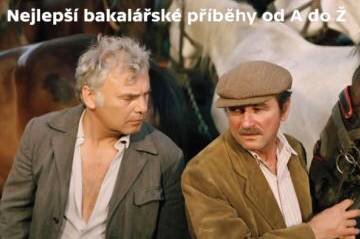 Křeček