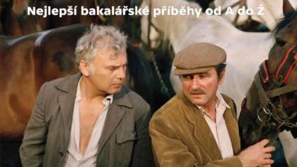 Křeček