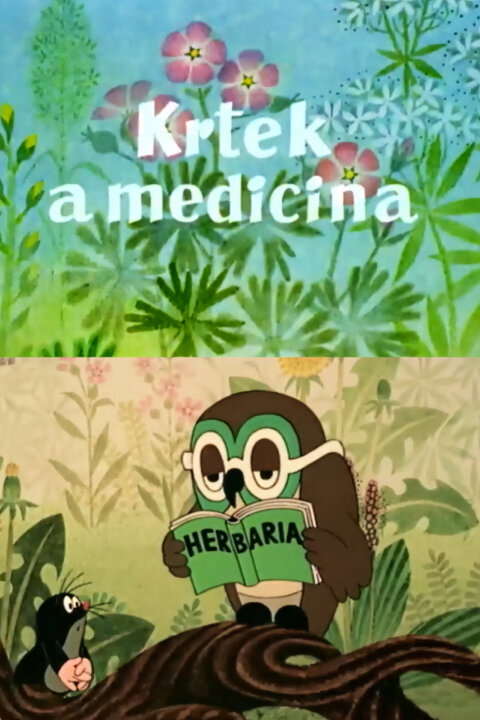 Krtek a medicína