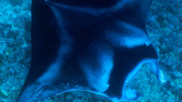 Maledivy - vodní království indického oceánu
