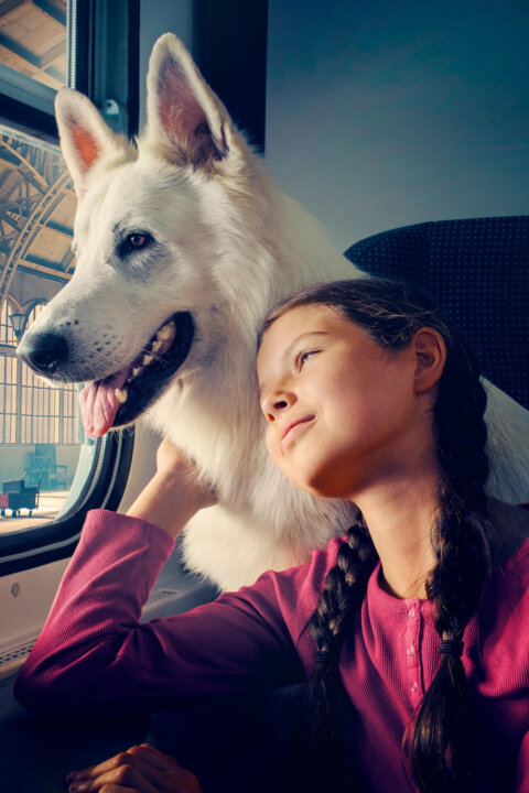 Pes, který cestoval vlakem