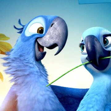 Rio 2