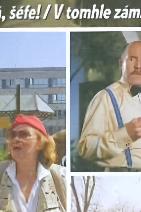 Šéfe, to je věc!