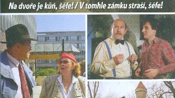 Šéfe, to je věc!