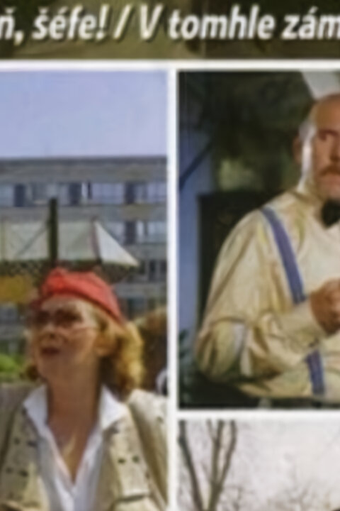 Šéfe, vrať se!