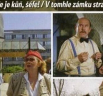 Šéfe, vrať se!