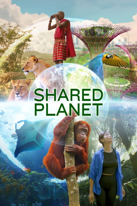 Soužití lidí a zvířat na jedné planetě