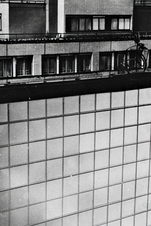 Zlatá labuť: Jak to bylo doopravdy