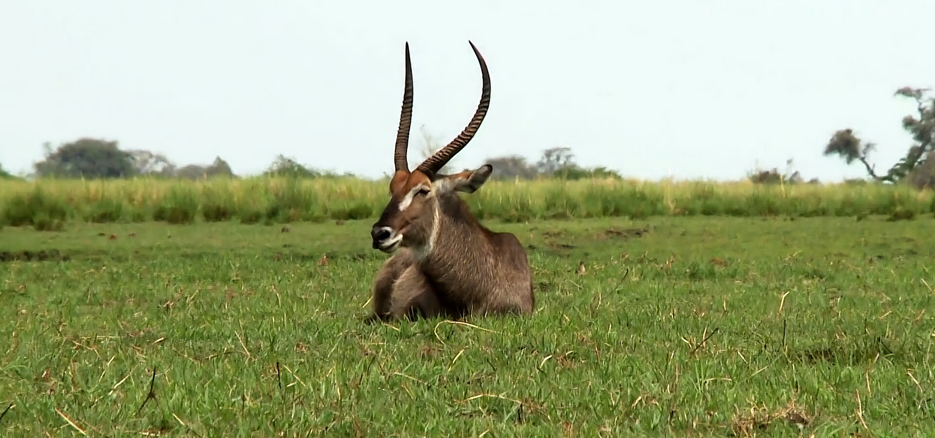 Africká abeceda