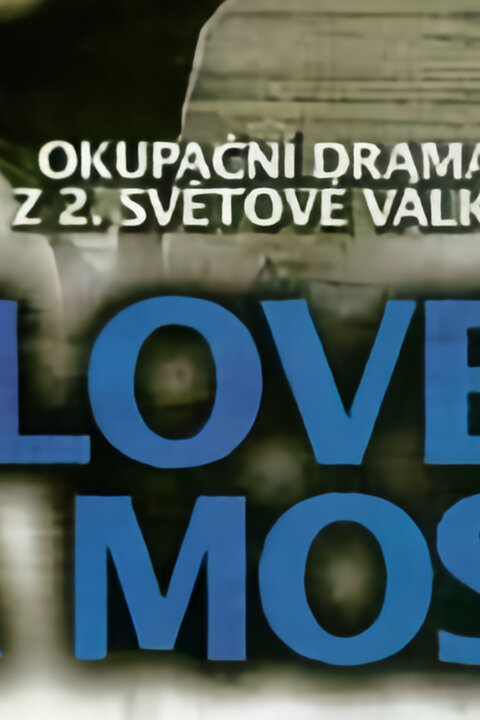 Človek na moste