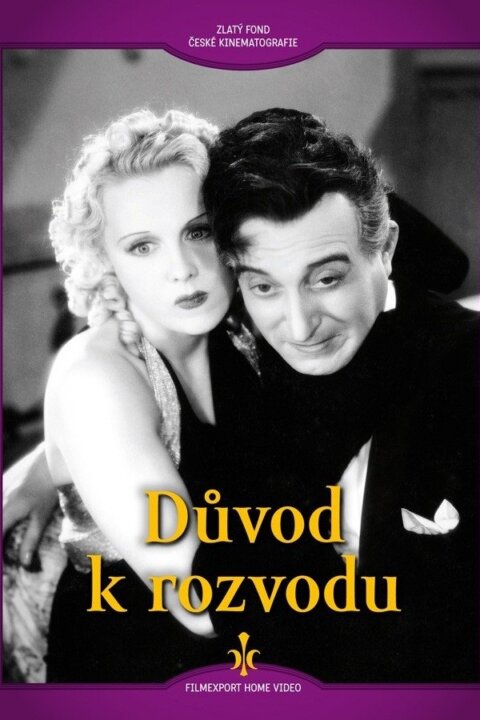 Důvod k rozvodu