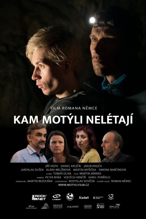 Kam motýli nelétají